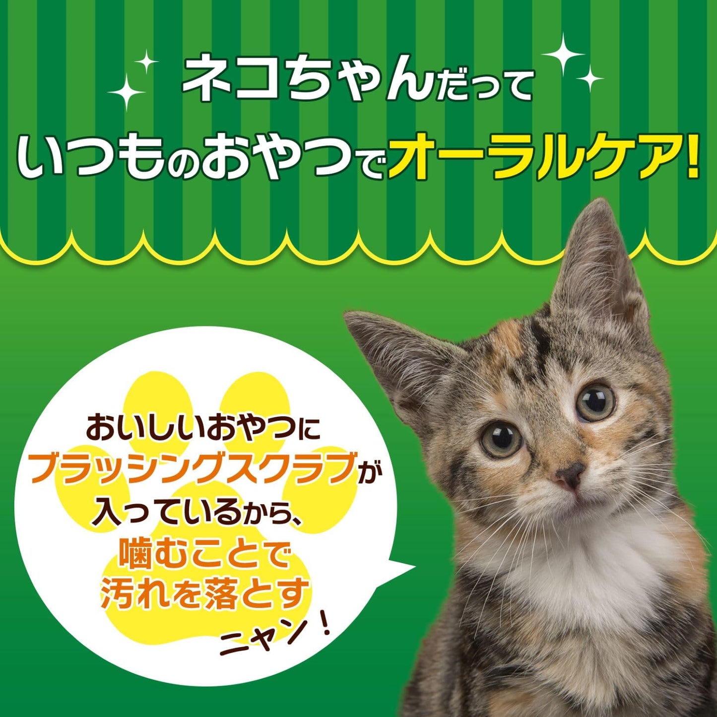 LION PETKISS Cat Toothpaste Treats Set/LION PETKISS 貓咪牙膏零食套裝