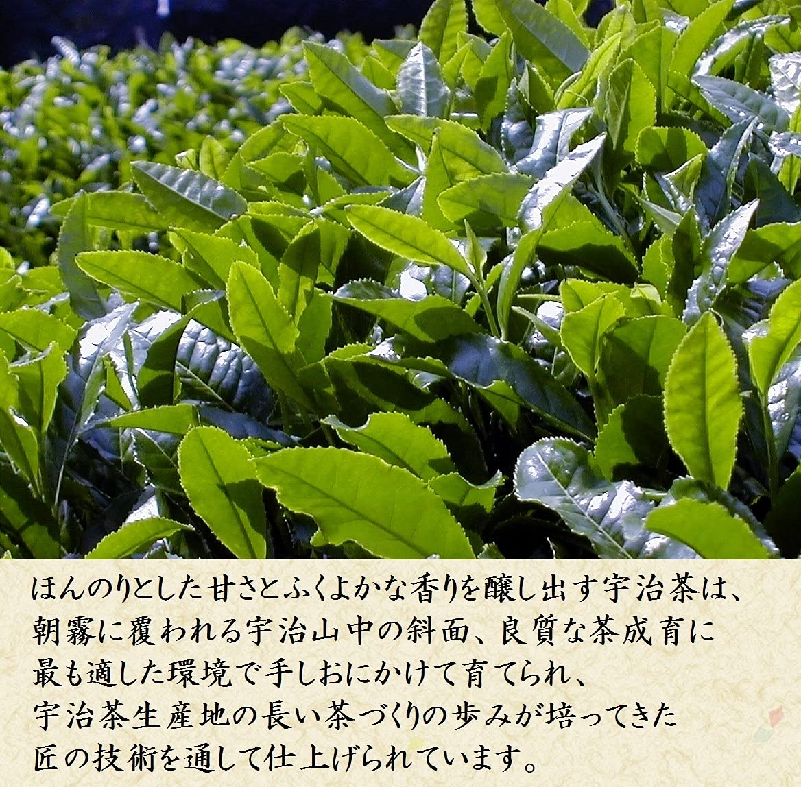 Kiyoizumi Uji Tea Gift, Gyokuro, Sencha, Japanese Pattern Can/清泉宇治茶禮盒，玉露，煎茶，和風花紋罐裝